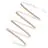 Ledvance Rubans LED Performance 1200 12W 1340lm 220-240 - 840 Blanc Froid | 50M/12mm