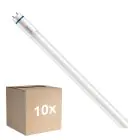 Multipack 10x Philips Master Tube LED T8 (EM/Direct 230V) High Output T8 7.6W 1090lm - 830 Blanc Chaud | 60cm - Équivalent 18W